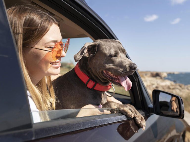 Como Planejar Férias de Aventura com Seu Pet: Atividades ao Ar Livre e Segurança