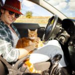 Melhores Produtos para Viagens com Pets: De Caixas de Transporte a Itens de Conforto