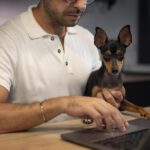 Os Melhores Gadgets Tecnológicos para Pets em 2024