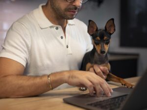 Os Melhores Gadgets Tecnológicos para Pets em 2024