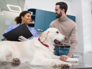 Castração de Cachorro: O que é, Como Funciona e Quais os Benefícios?